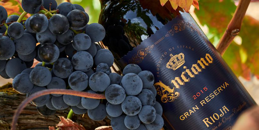 Big tender win in Sweden for Anciano